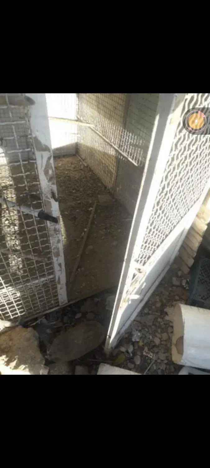 قفس کبوتر|لوازم جانبی حیوانات|تاکستان, |دیوار