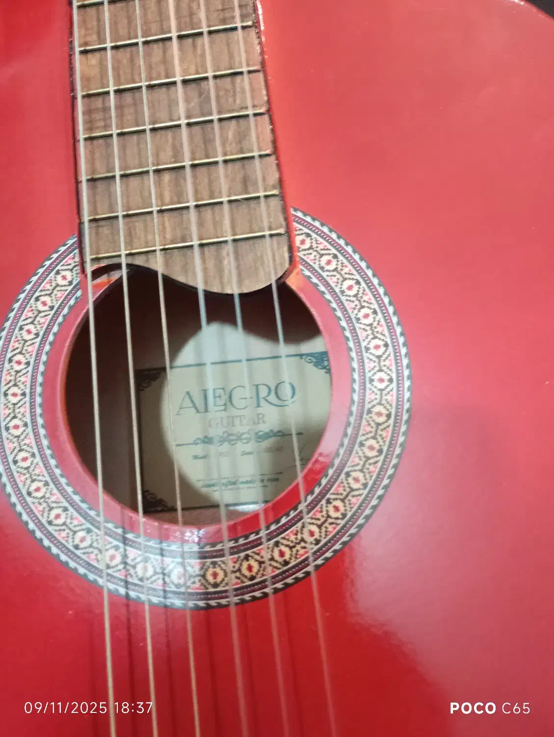 گیتار|گیتار، بیس، امپلیفایر|تهران, امانیه|دیوار