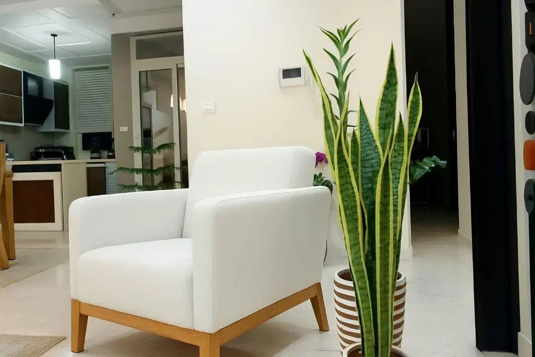 آپارتمان تکواحدی 105متری