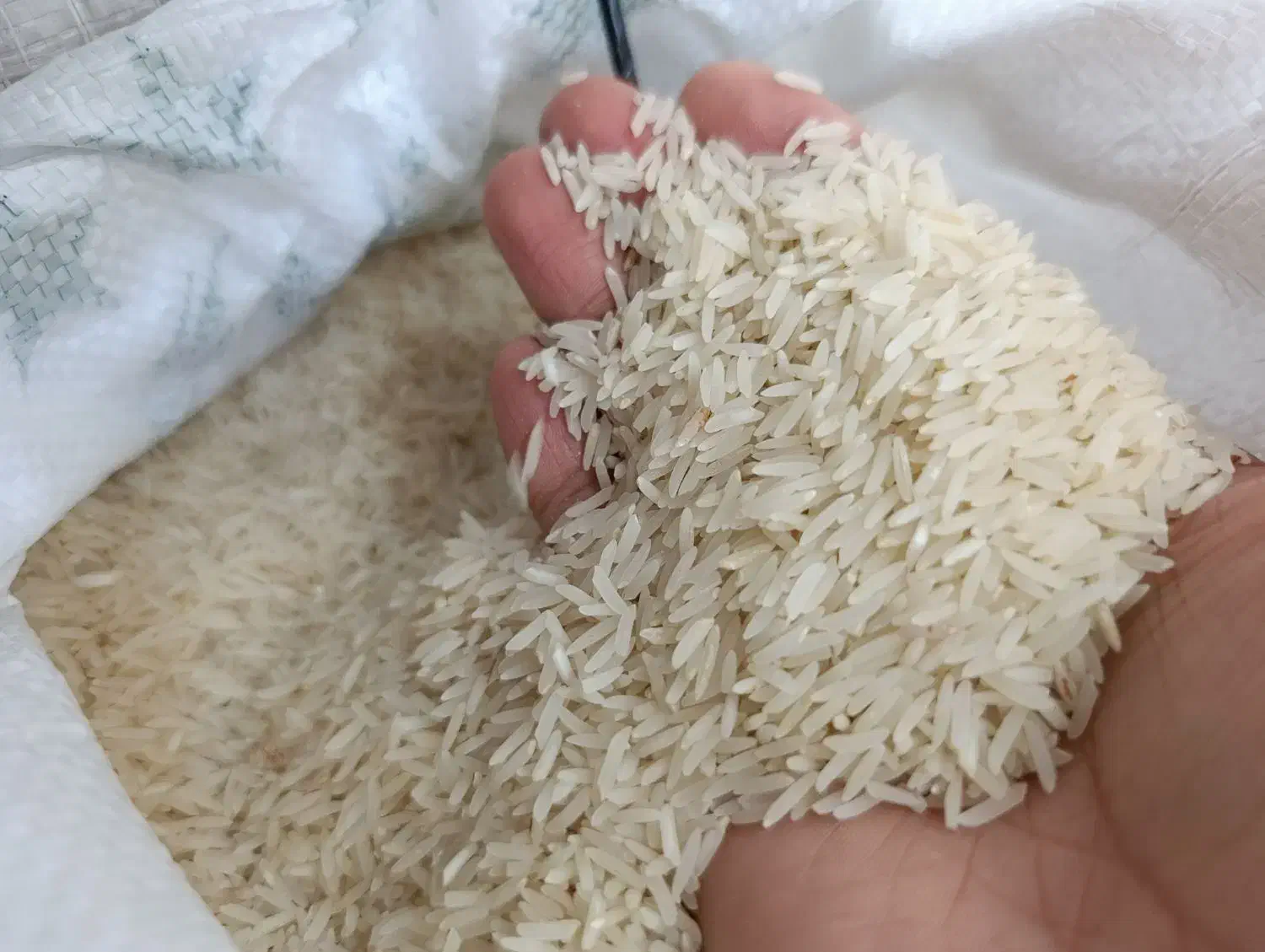 برنج فروشی دهکده|خوردنی و آشامیدنی|گرگان, |دیوار