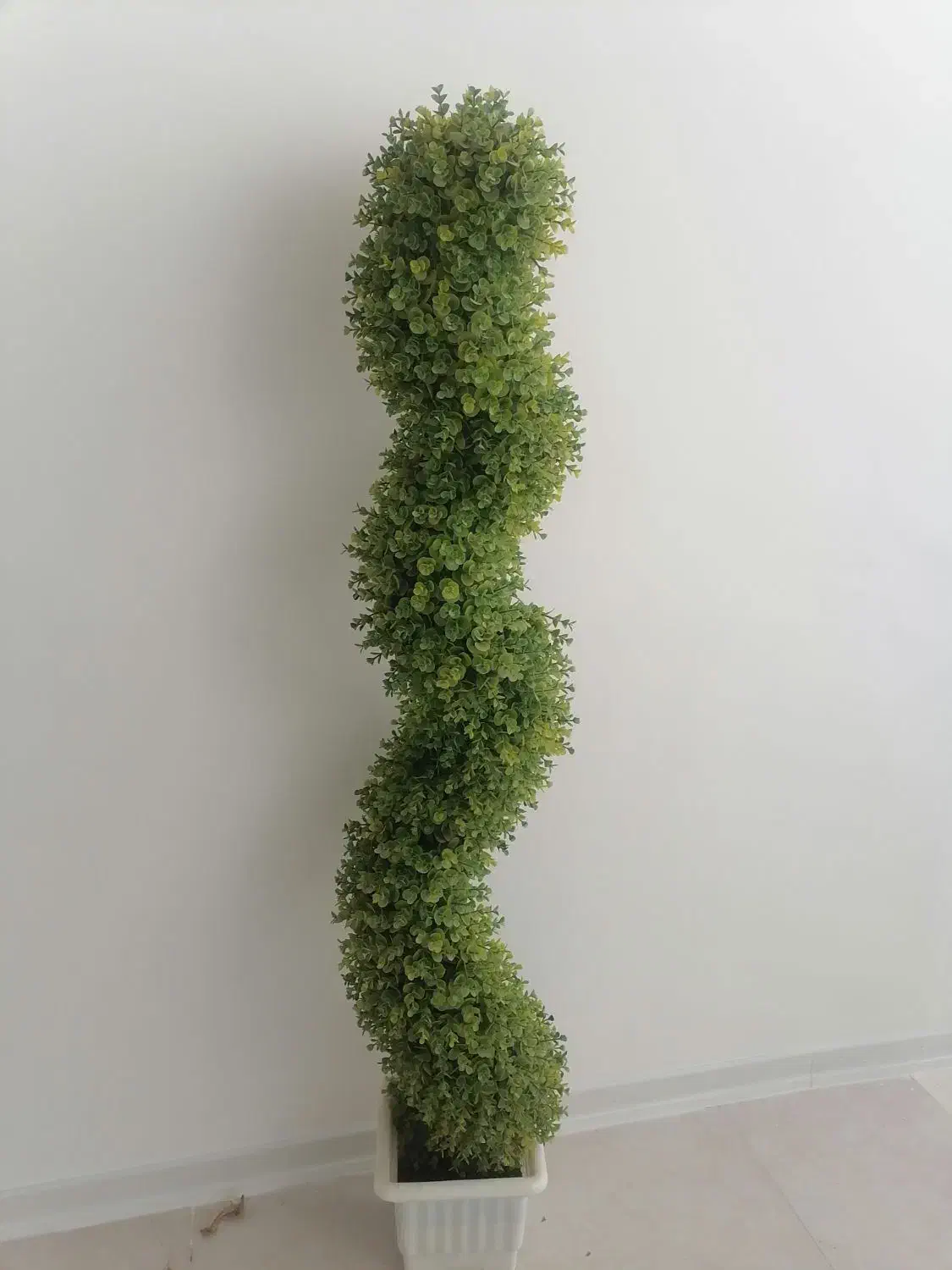 درختچه شمشاد|گل مصنوعی|رفسنجان, |دیوار