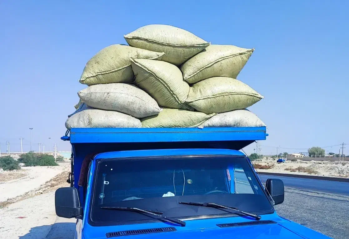 کاه خارشتر خشک شده با خرمنکوب|لوازم جانبی حیوانات|شبانکاره, |دیوار