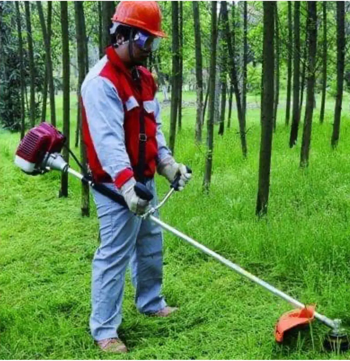 علف زنی، هرس درخت و تمیزکاری محوطه ویلا|خدمات باغبانی و درختکاری|صومعهسرا, |دیوار