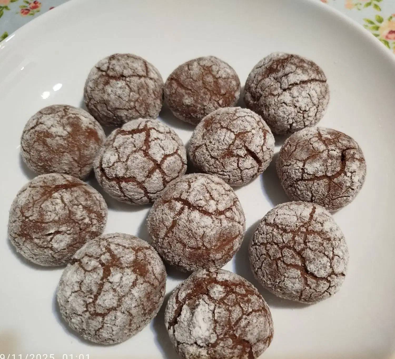 کوکی هر عدد ۲۰ تومان|خوردنی و آشامیدنی|تهران, نیروی دریایی|دیوار