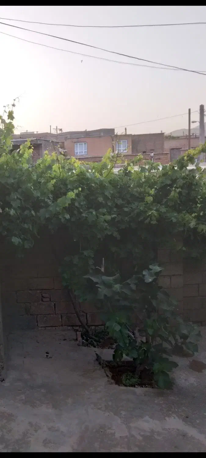 فروش منزل مسکونی در روستای قبغلو|فروش خانه و ویلا|سقز, |دیوار