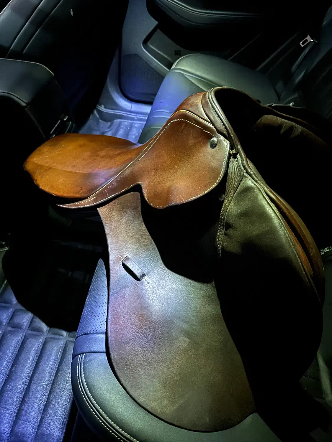 زین اِشتُبِن|اسب و تجهیزات اسب‌سواری|چهاردانگه (تهران), |دیوار