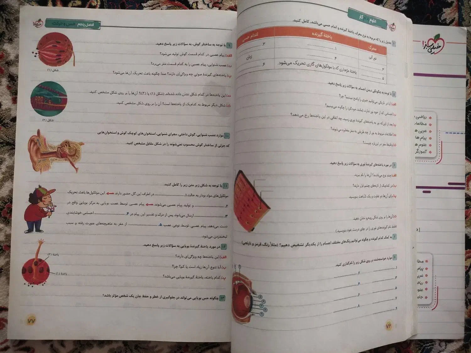 کتاب کار علوم هشتم خیلی سبز|کتاب و مجله آموزشی|شیروان (خراسان), |دیوار