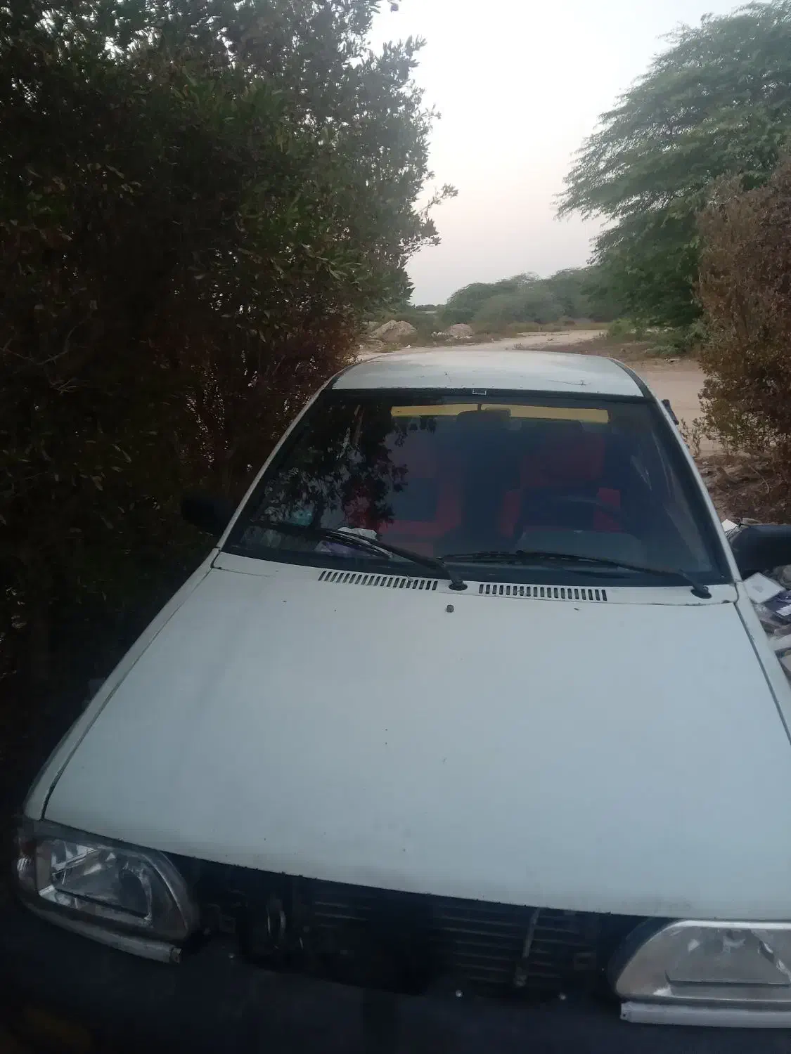 فروش فوری پراید کاربرات مدل ۸۱|خودرو سواری و وانت|بوشهر, |دیوار