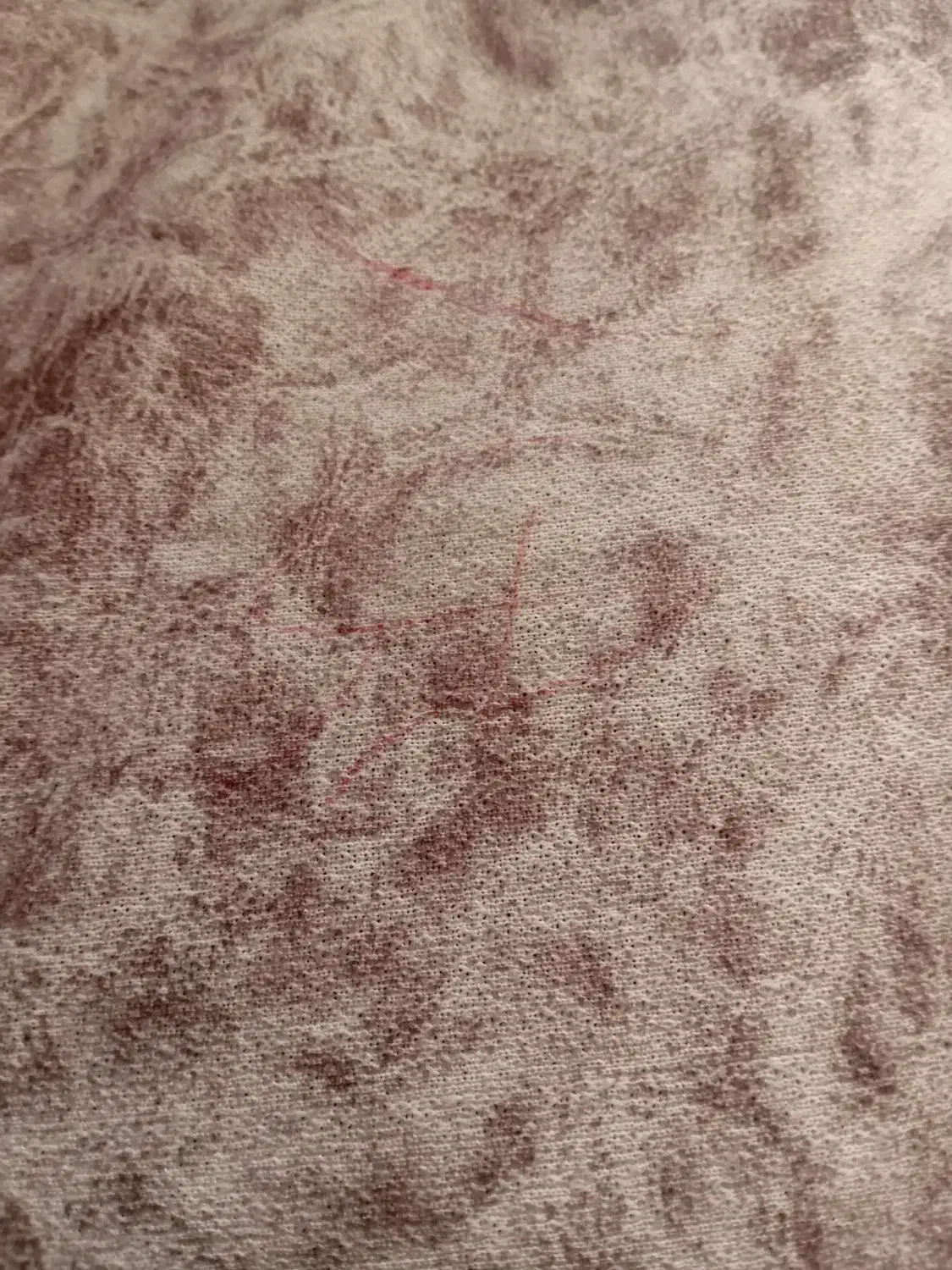 کار در منزل|استخدام رایانه و فناوری اطلاعات|خمینی‌شهر, |دیوار