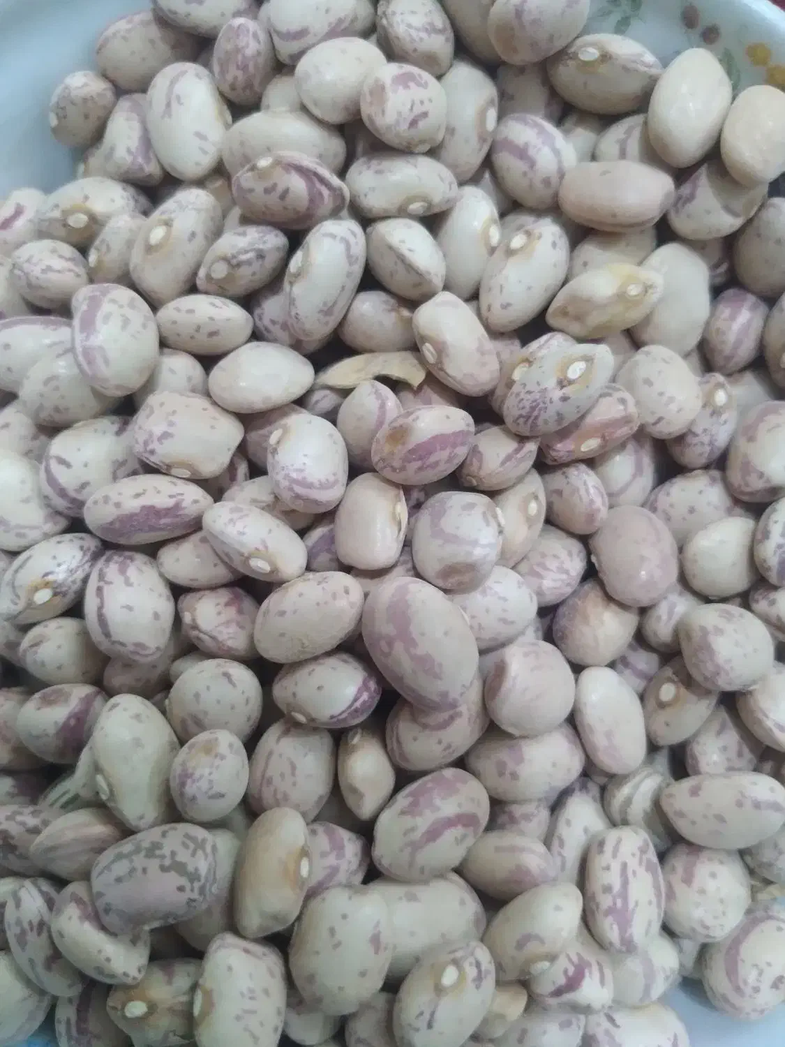 فروش یک گونی لوبیا چیتی|عمدهفروشی|آباده, |دیوار