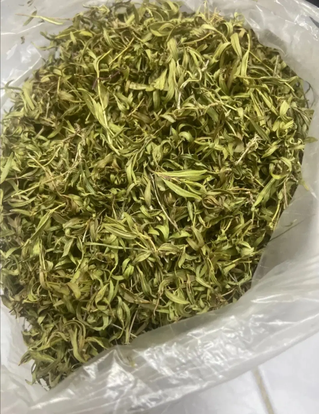 آویشن|خوردنی و آشامیدنی|نجف‌آباد, شریعتی غربی|دیوار
