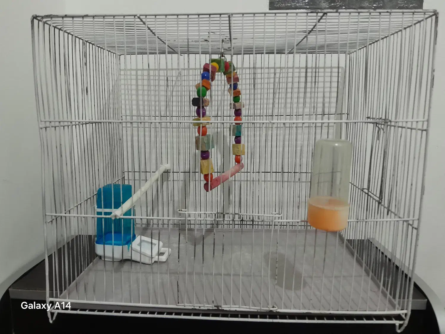 قفس پرنده|لوازم جانبی حیوانات|مشهد, مشکینی (شهرک غرب)|دیوار