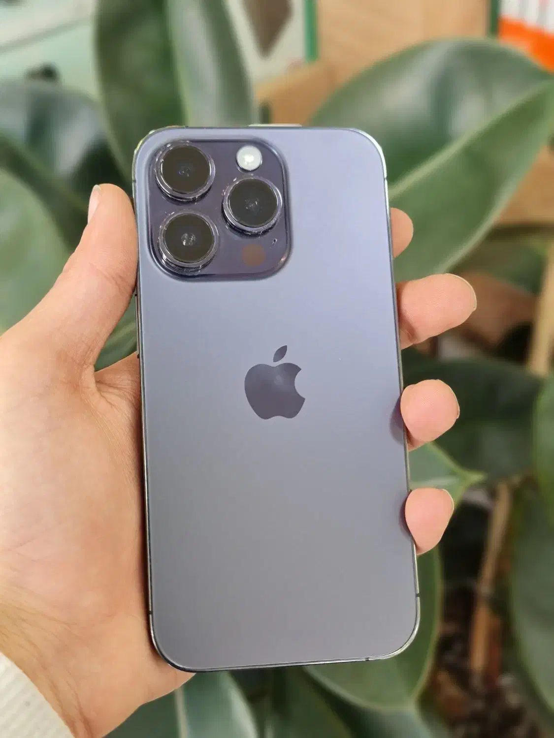 ۱۴ پرو / iphone 14 pro|موبایل|تهران, تهرانپارس غربی|دیوار