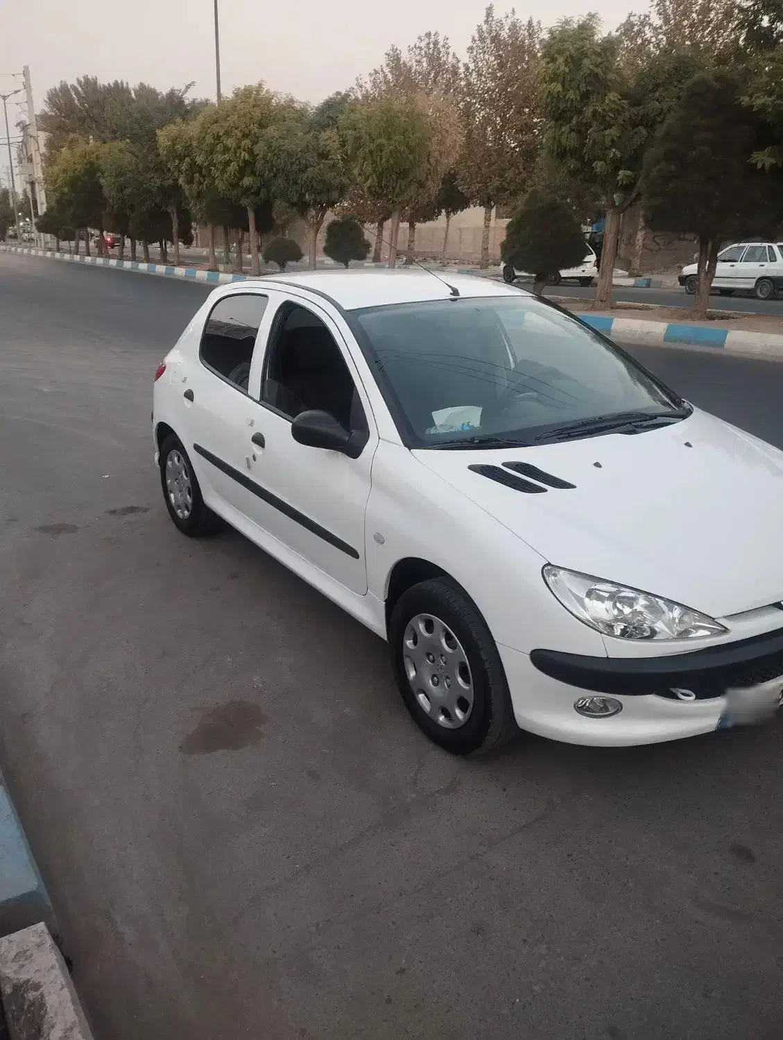 206مدل 1401|خودرو سواری و وانت|تهران, شهرک استقلال|دیوار