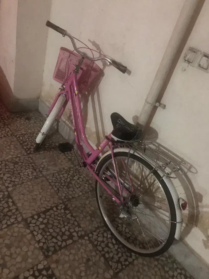 دوچرخه ۲۴|دوچرخه، اسکیت، اسکوتر|رشت, کوی جام جم|دیوار