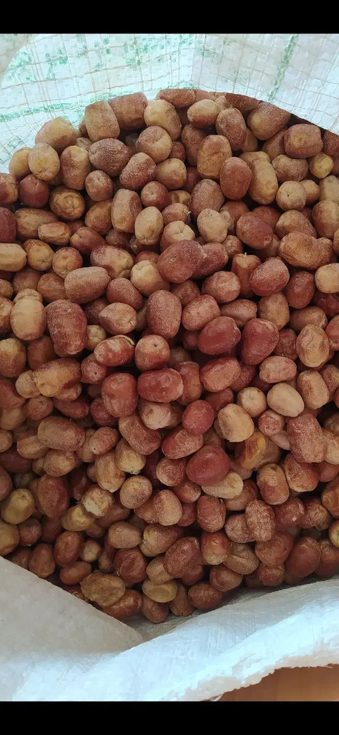 فروش سنجد توسط باغدار مستقیم|خوردنی و آشامیدنی|بسطام, |دیوار