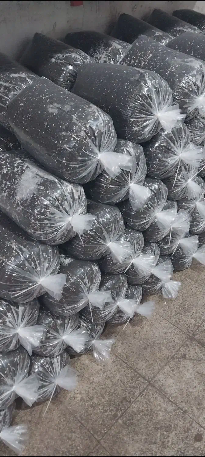 خاک مخصوص گیاهان آپارتمانی و سینی نشا و سبزی جات|گل و گیاه طبیعی|رودسر, |دیوار