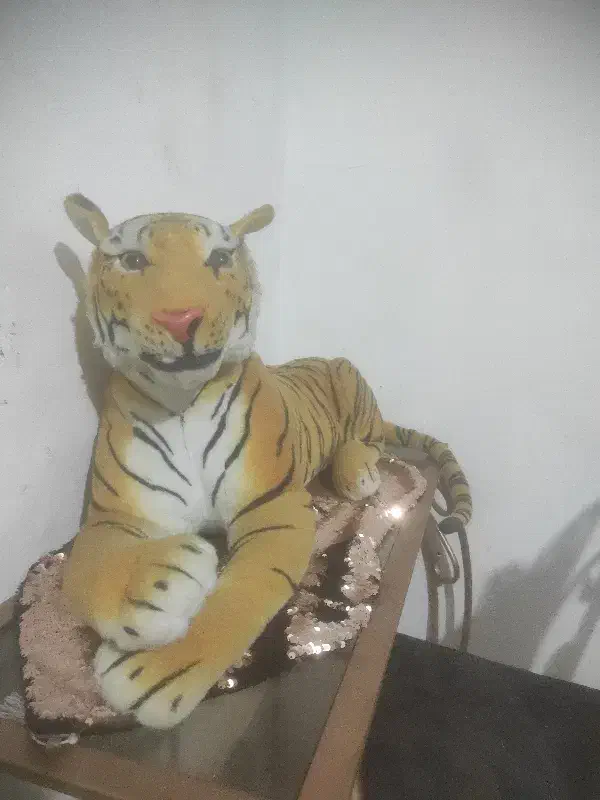 ماکت یاعروسک کلکسیونی ببرخارجی قدیمی|کلکسیون اشیاء عتیقه|کرمانشاه, |دیوار