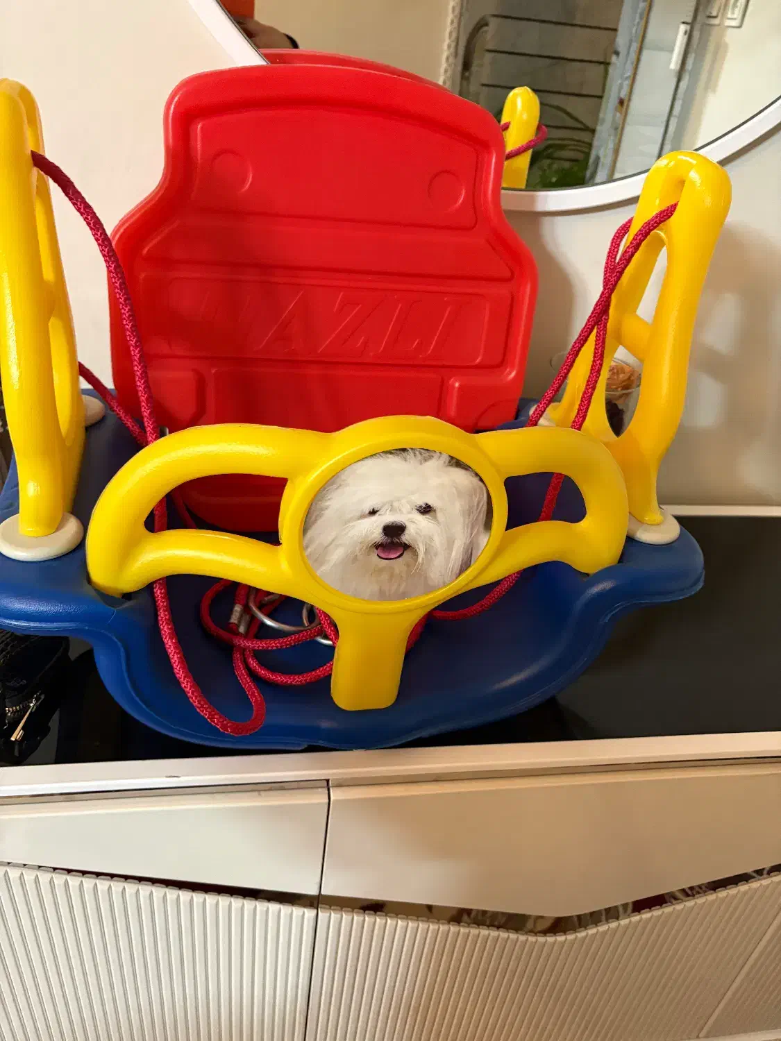 تاب|اسباب‌‌بازی|شیراز, شهرک مفتح|دیوار