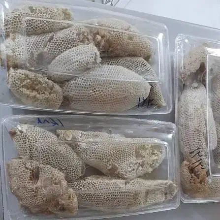 عسل وحشی|خوردنی و آشامیدنی|فیروزآباد (فارس), |دیوار