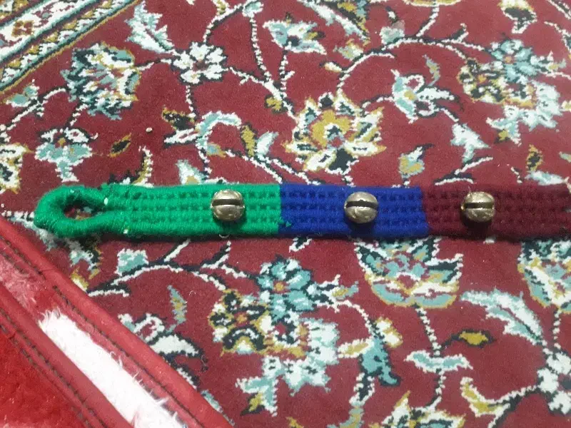 قلاده|لوازم جانبی حیوانات|نجفآباد, حومه نجف آباد|دیوار