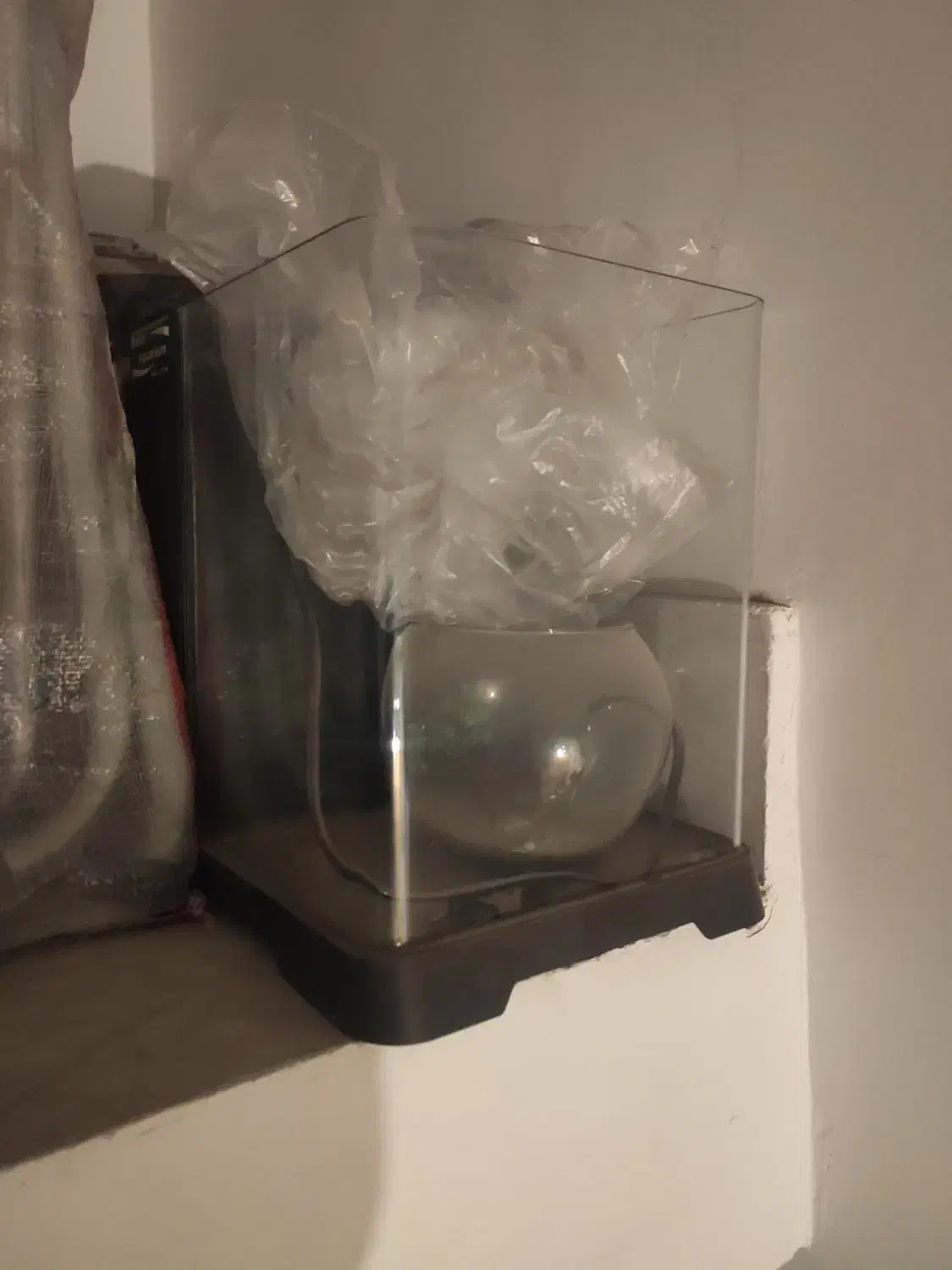 آکواریوم فروشی با لوازم|ماهی|بیرجند, |دیوار