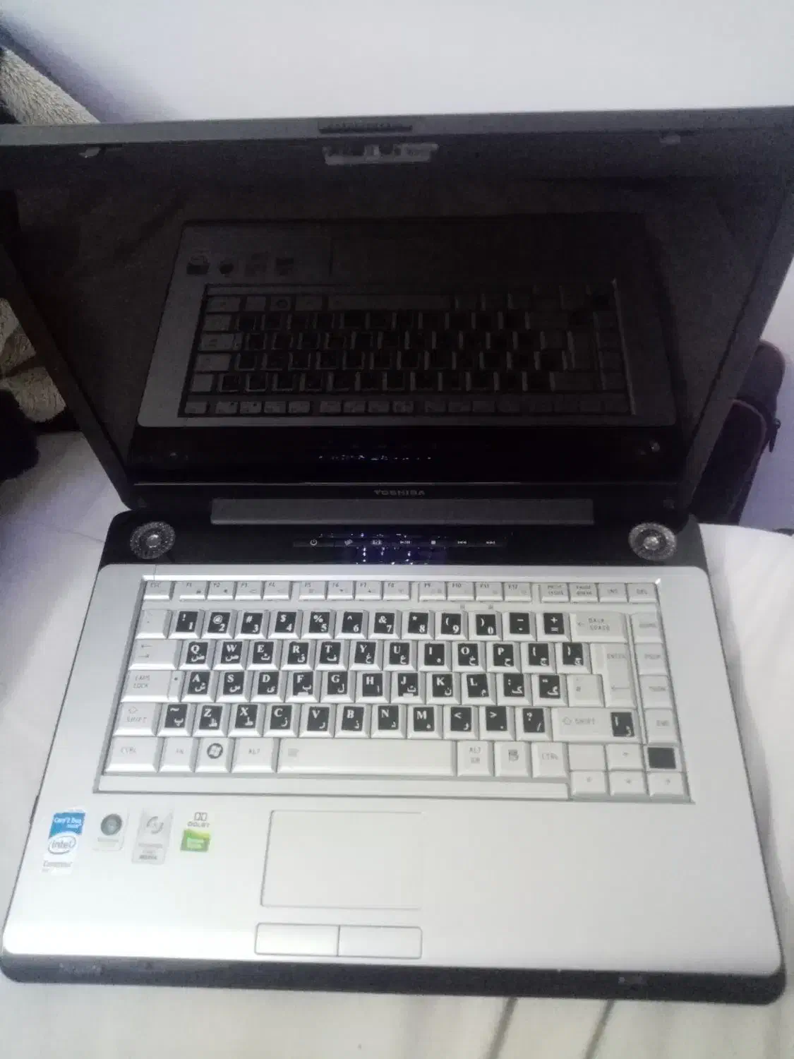 لپ تاپ توشیبا ژاپنی|رایانه همراه|مشهد, هنرور|دیوار