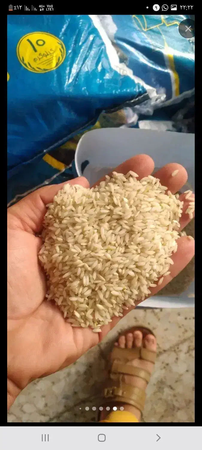 برنج عنبربو افرا برکت|خوردنی و آشامیدنی|اهواز, کیانشهر|دیوار