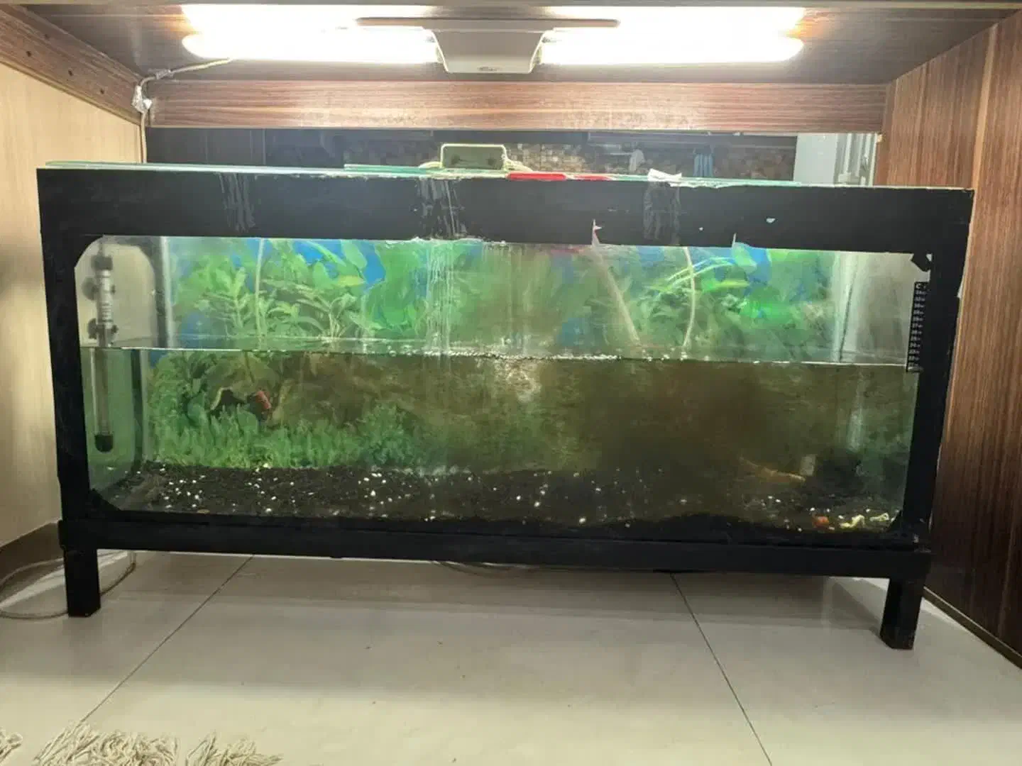 آکواریوم ۱۲۰ با پایه|ماهیگیری|مشهد, الهیه|دیوار