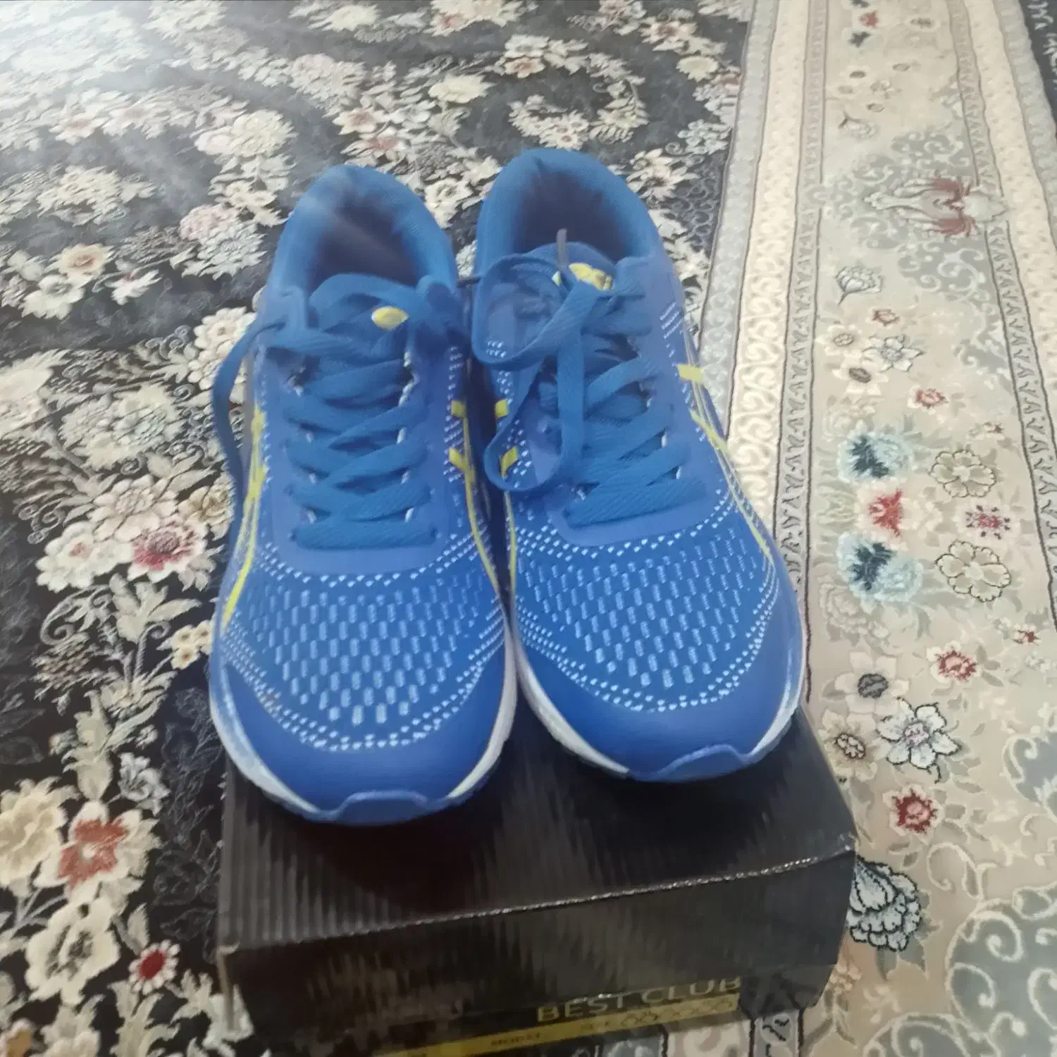 کفش|کیف، کفش، کمربند|مریوان, |دیوار