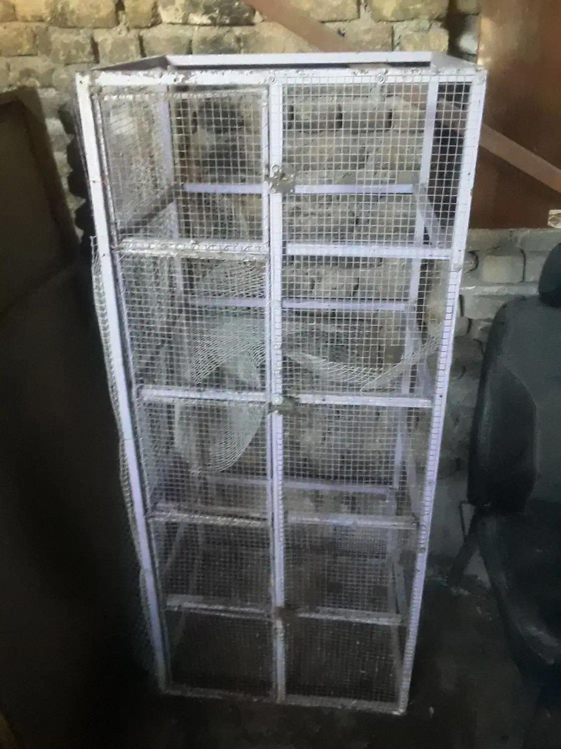 قفس جوجه کشی کفتر|لوازم جانبی حیوانات|تربتحیدریه, یحیی آباد|دیوار