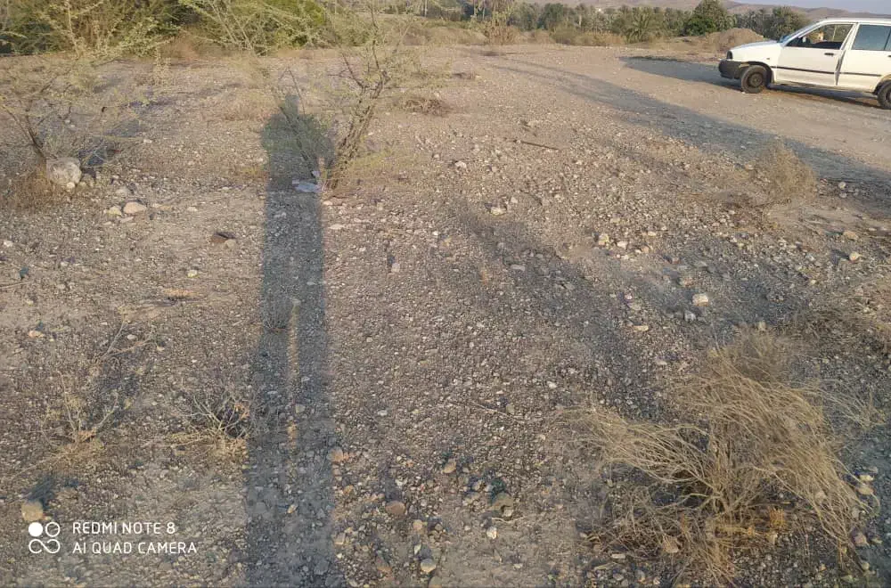 فروش زمین مسکونی|فروش زمین و ملک کلنگی|توکهور, |دیوار