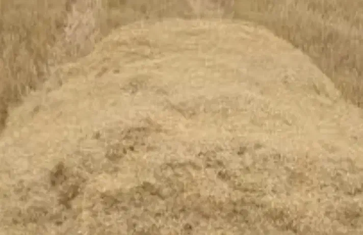 فروش کاه نیشکر خوراک دام|حیوانات مزرعه|پاکدشت, پاکدشت (مامازند)|دیوار