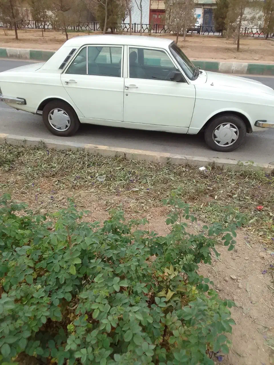 پیکان انژکتوری مدل ۸۳|خودرو سواری و وانت|تهران, تهرانپارس غربی|دیوار