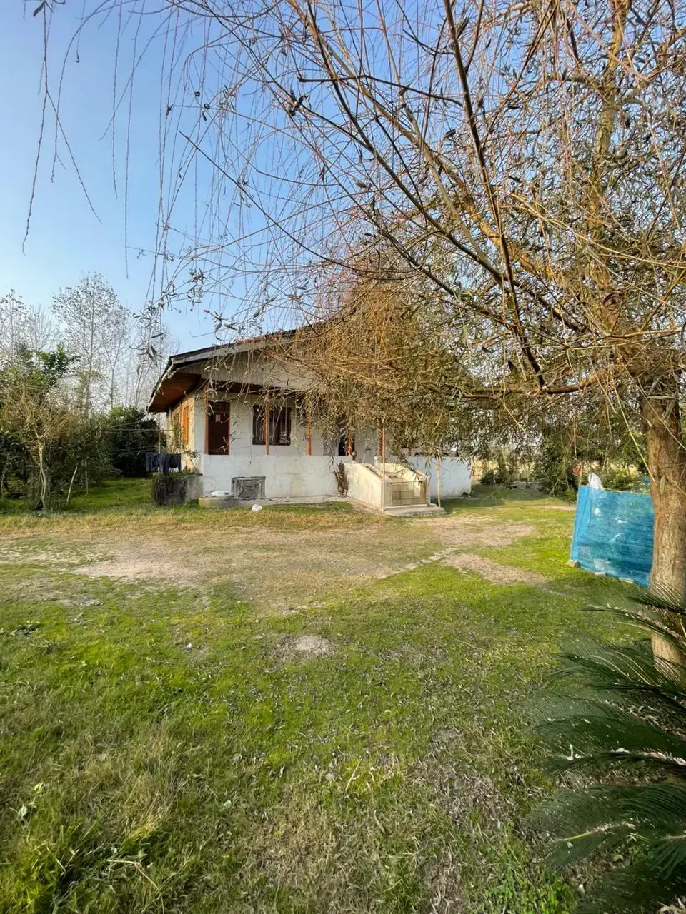 خانه و شالیزار 15هزار متری|فروش خانه و ویلا|رشت, دیلمان|دیوار