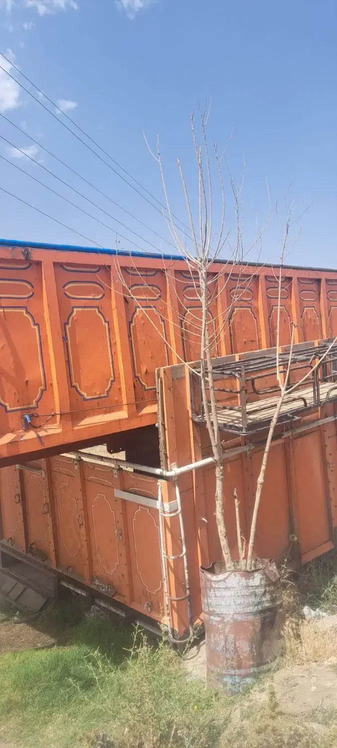 اتاق عقب بنز تک باری|خودرو سنگین|قم, قلعه کامکار|دیوار