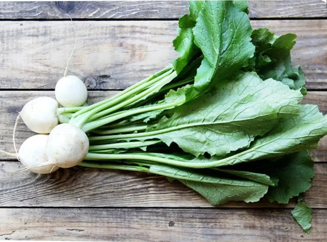 شلم تازه درجه یک (شلغم)|خوردنی و آشامیدنی|شباب, |دیوار