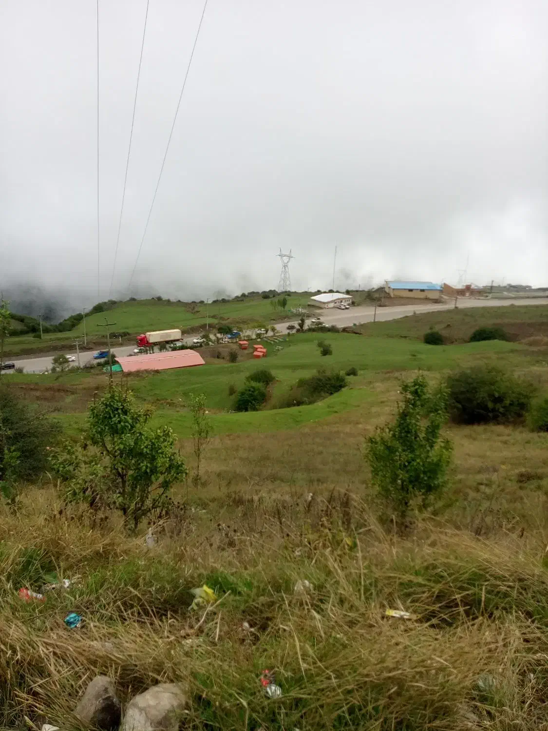 خریدچوب درختان درباغ|خدمات باغبانی و درختکاری|مراغه, |دیوار