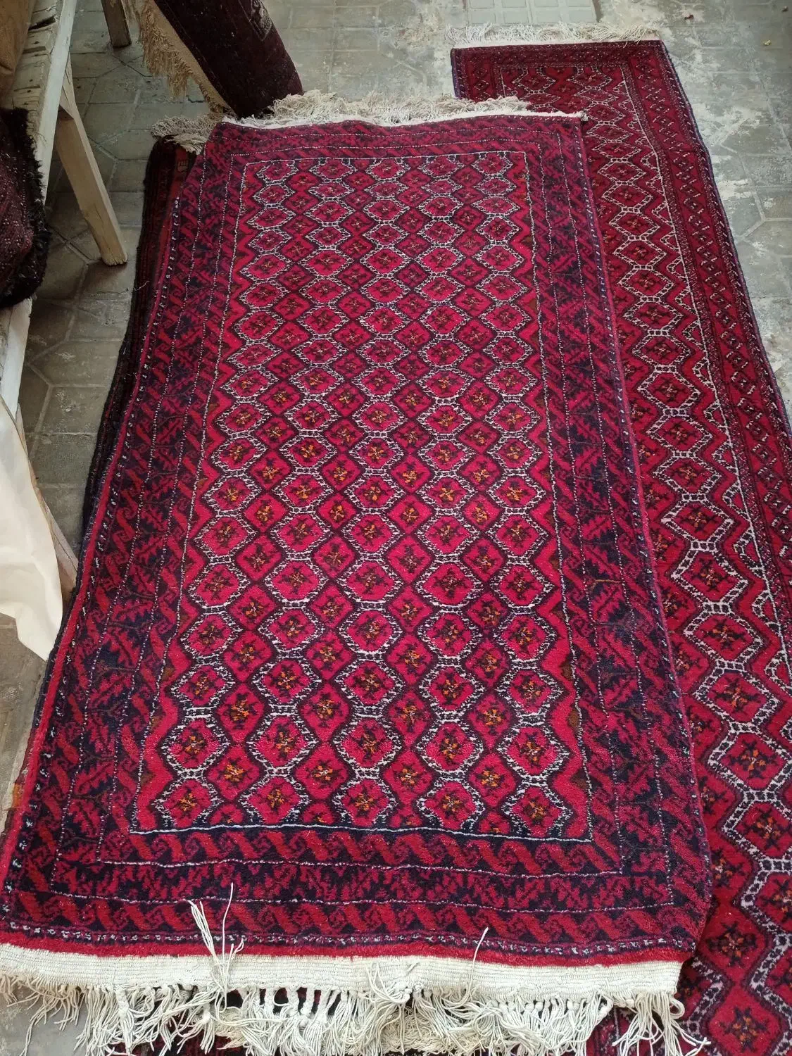 قالیچه دستباف نو|فرش|تربتحیدریه, مظفریه|دیوار