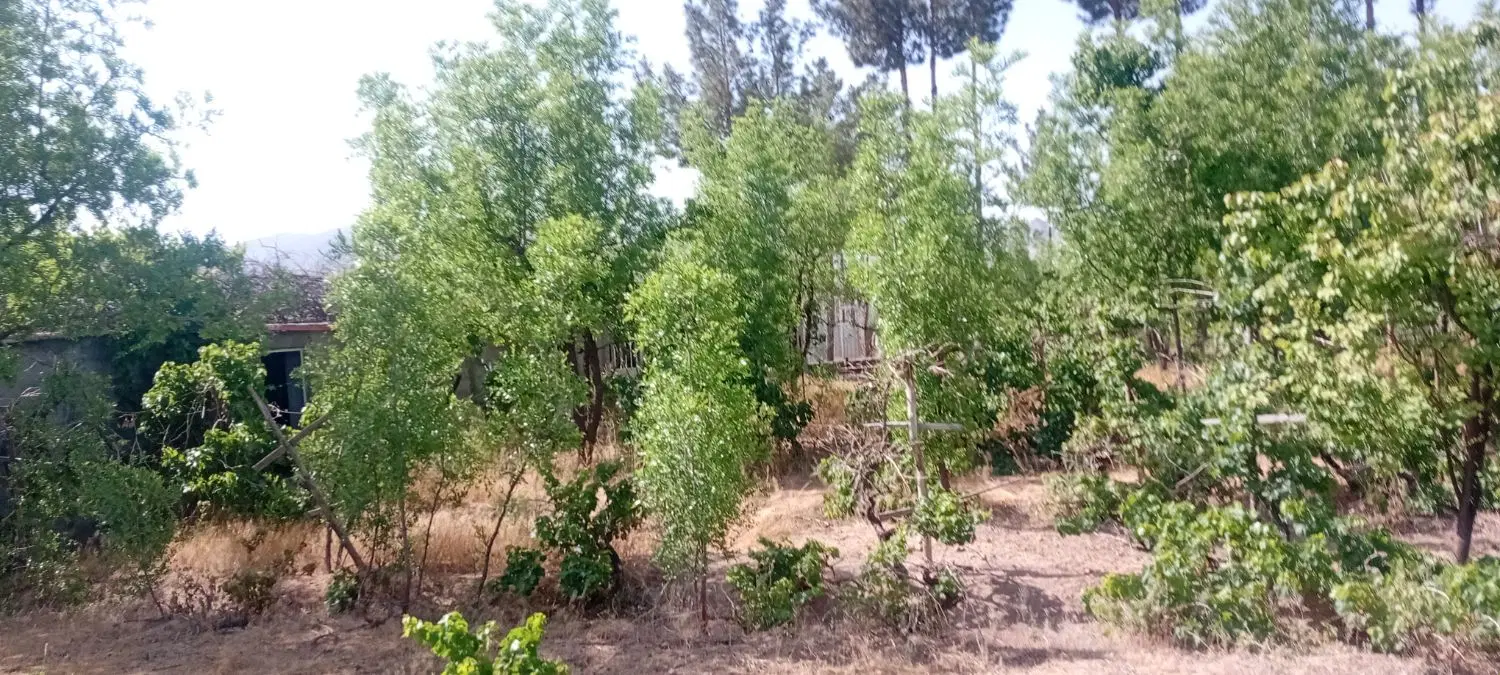 تصویر 12