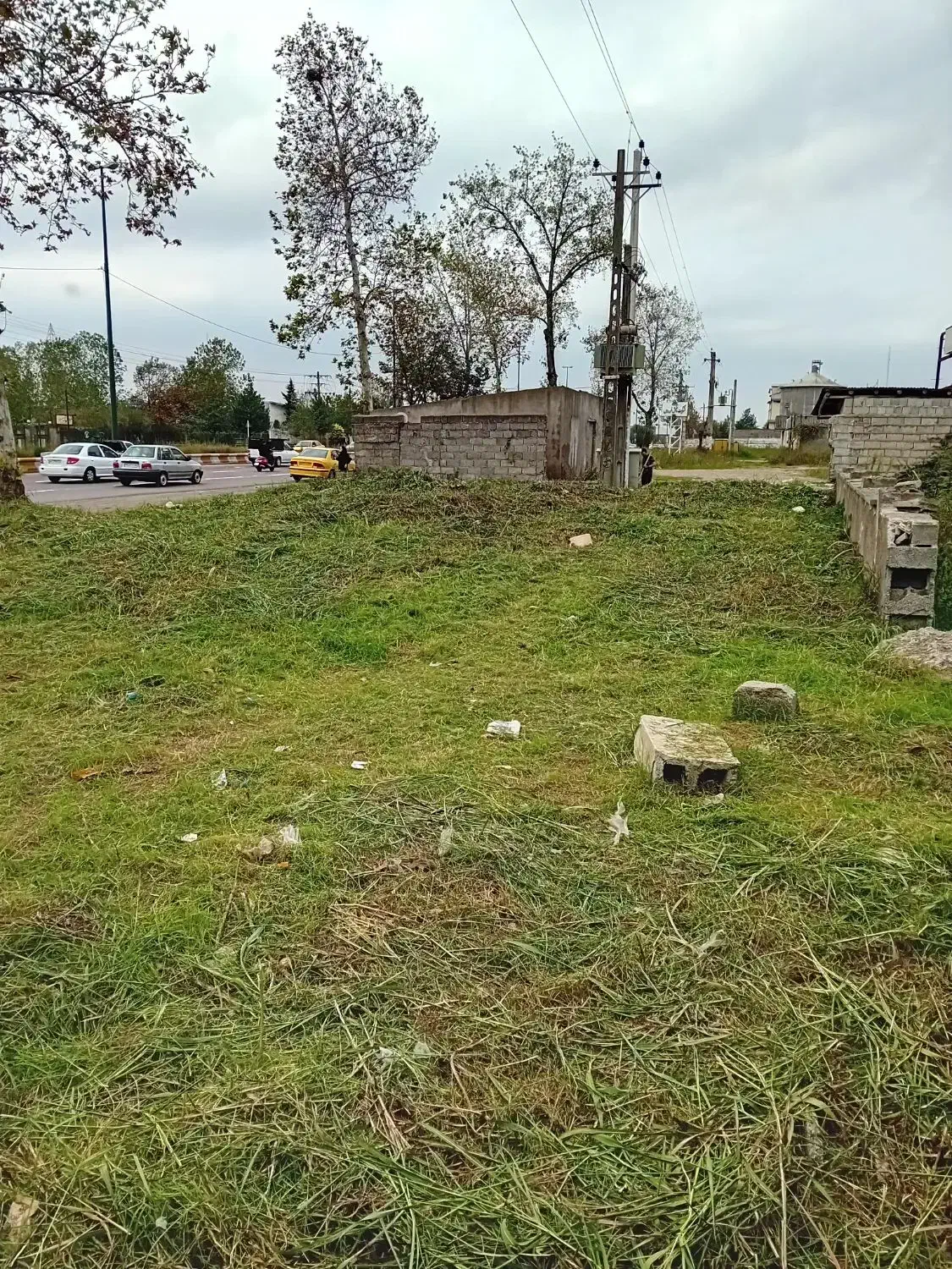 خدمات باغی چمنزنی علفزنی علفتراشی لی زنی تمشک زنی|خدمات باغبانی و درختکاری|رشت, گیل|دیوار