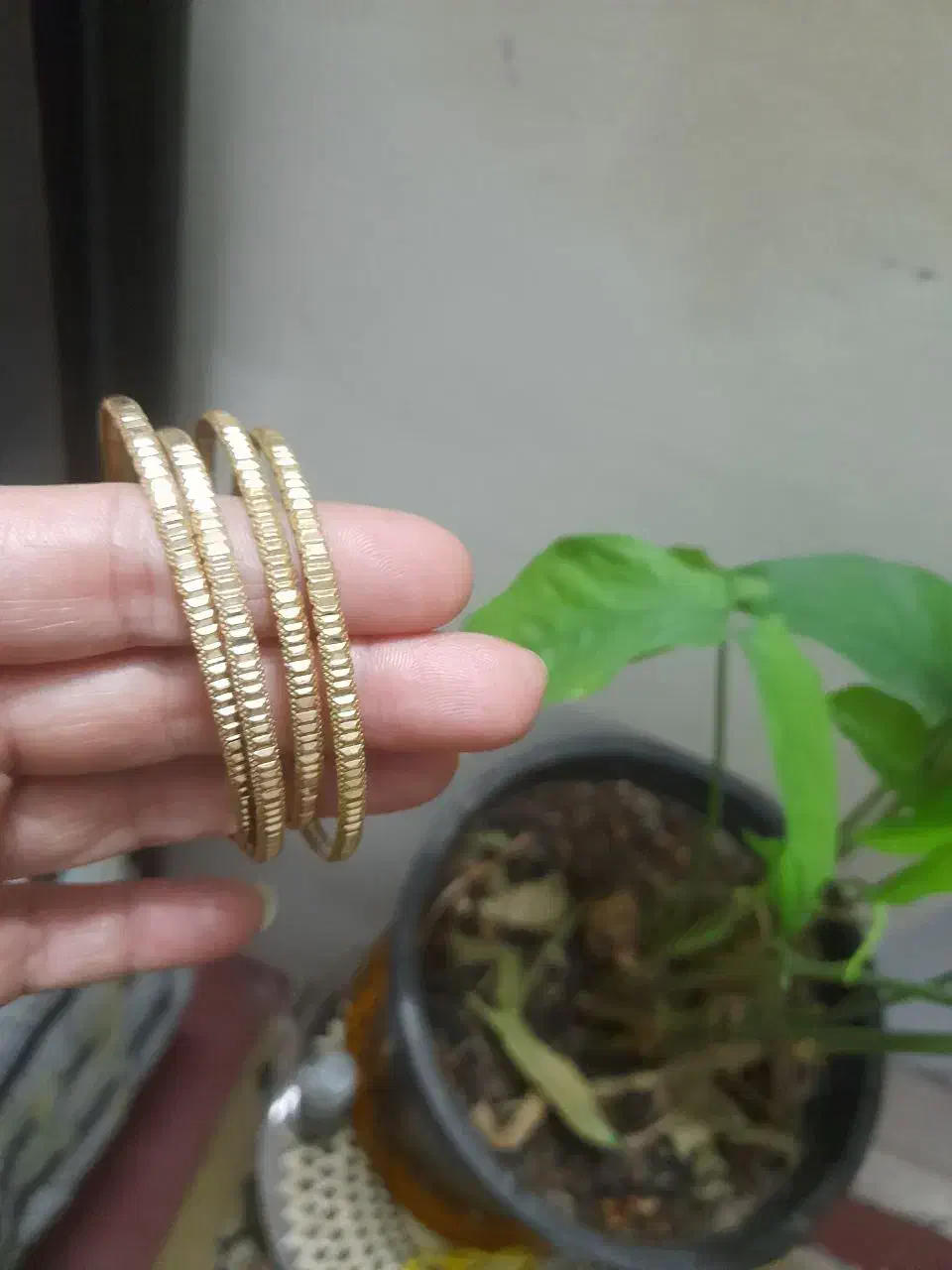 النگو ژوپینگ اصل|بدلیجات|مشهد, مشکینی (شهرک غرب)|دیوار