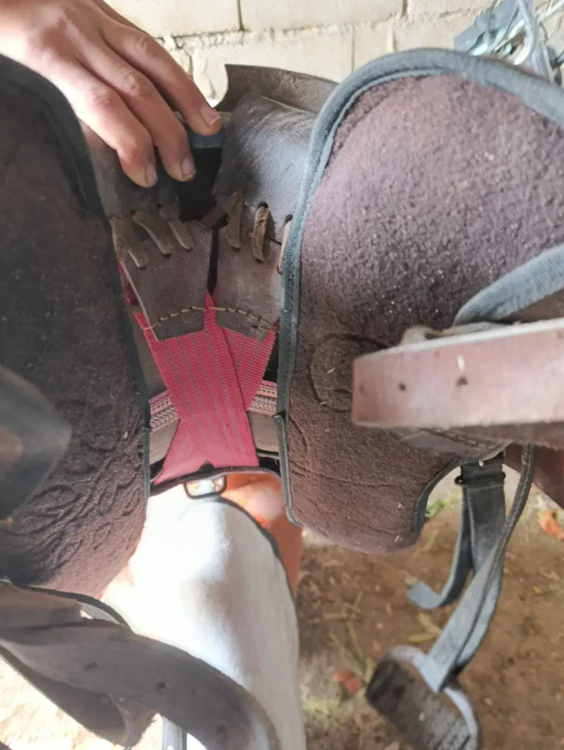 زین اسب|اسب و تجهیزات اسبسواری|حسن آباد, |دیوار