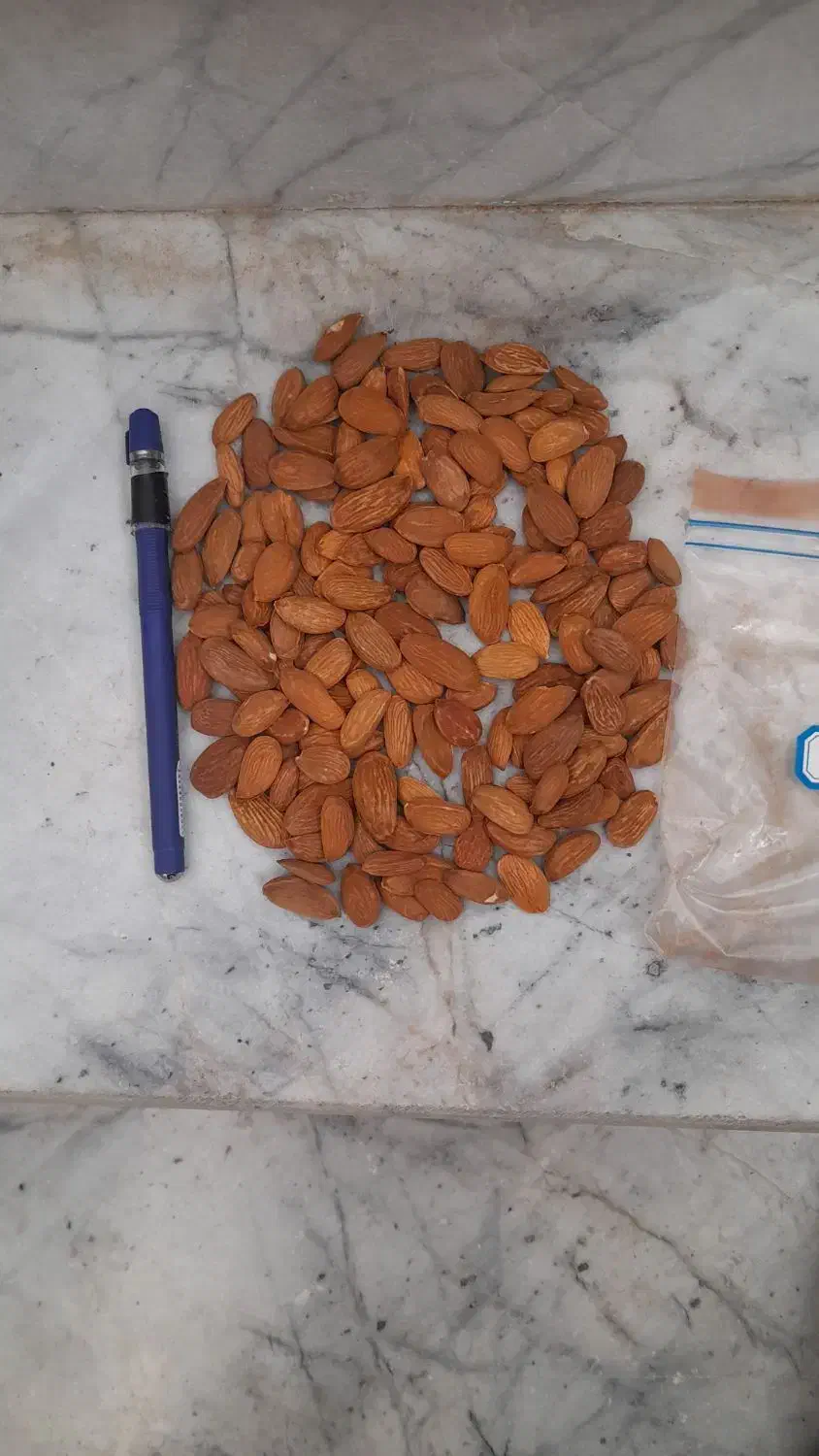 فروش مغز بادام مامایی ربی شاهرودی سنگی مغز تلخ|عمده‌فروشی|زاینده رود, |دیوار