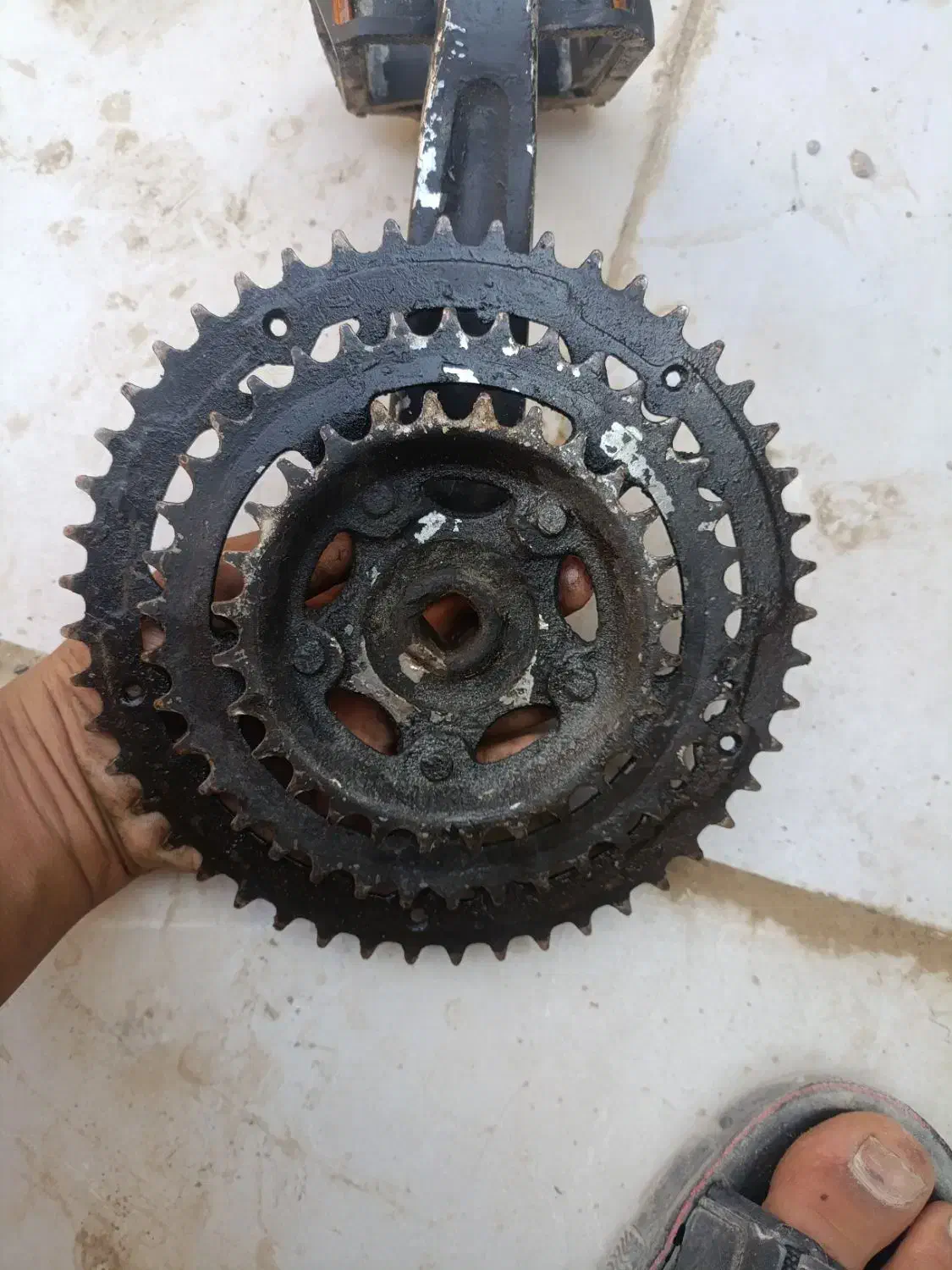 وسایل دوچرخه|دوچرخه، اسکیت، اسکوتر|زابل, |دیوار