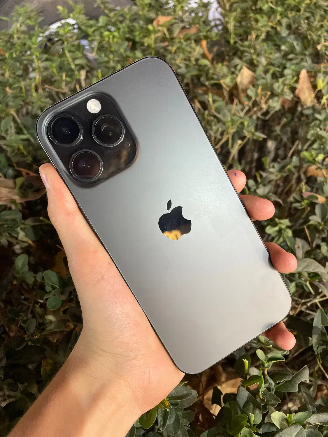 Iphone 16promax|موبایل|اراک, |دیوار