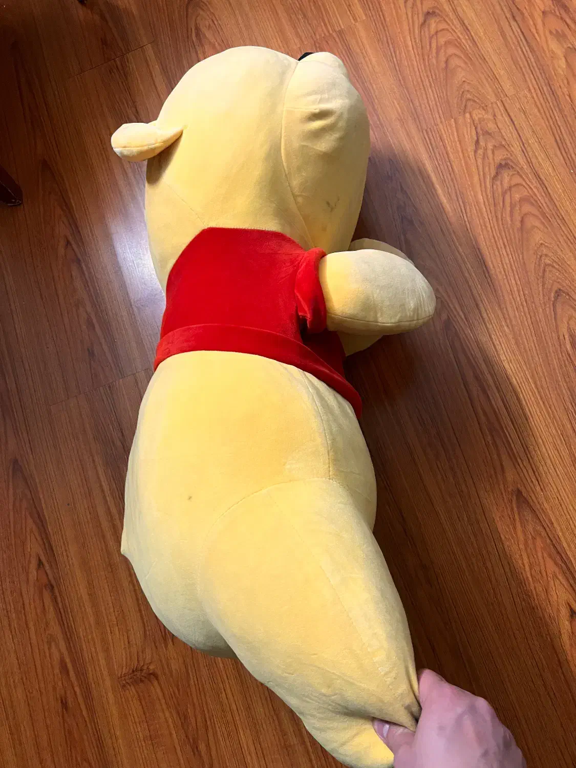 عروسک خرس|اسباب‌بازی بچه|مشهد, دانشجو|دیوار