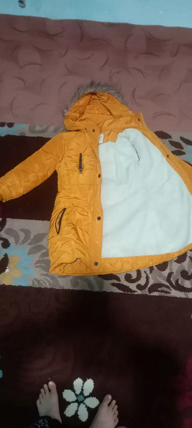 کاپشن|لباس|نهاوند, |دیوار