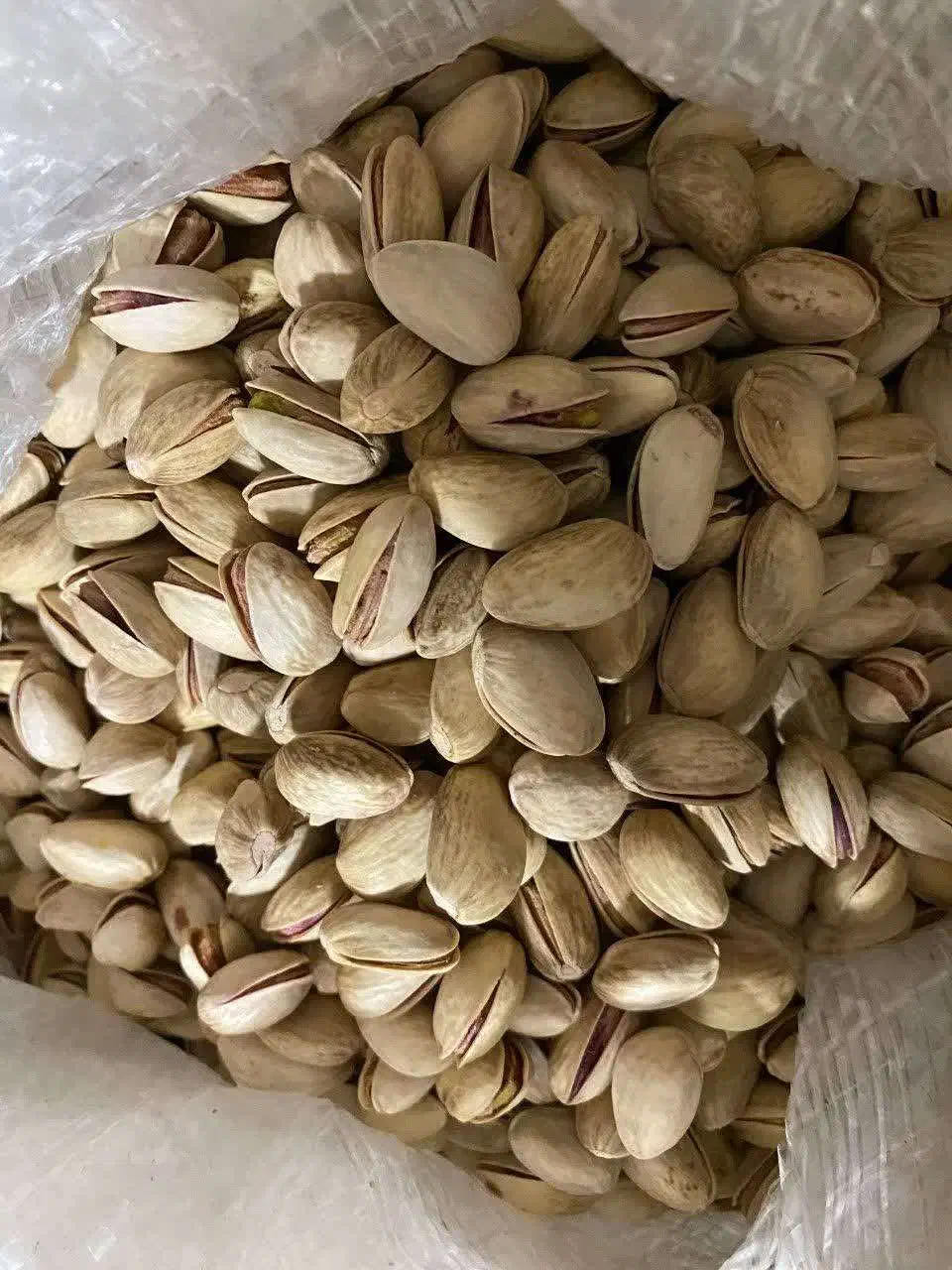 پسته خام دامغان|خوردنی و آشامیدنی|تهران, ابوذر|دیوار