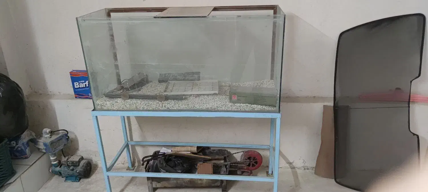 آکواریوم همراه با شن و ماسه|ماهی|برازجان, |دیوار